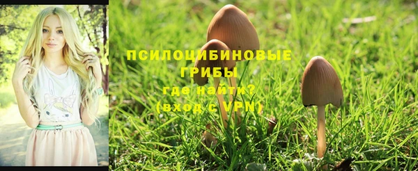 спиды Нефтегорск
