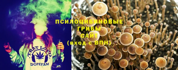 гашик Наволоки