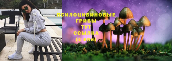 СК Надым